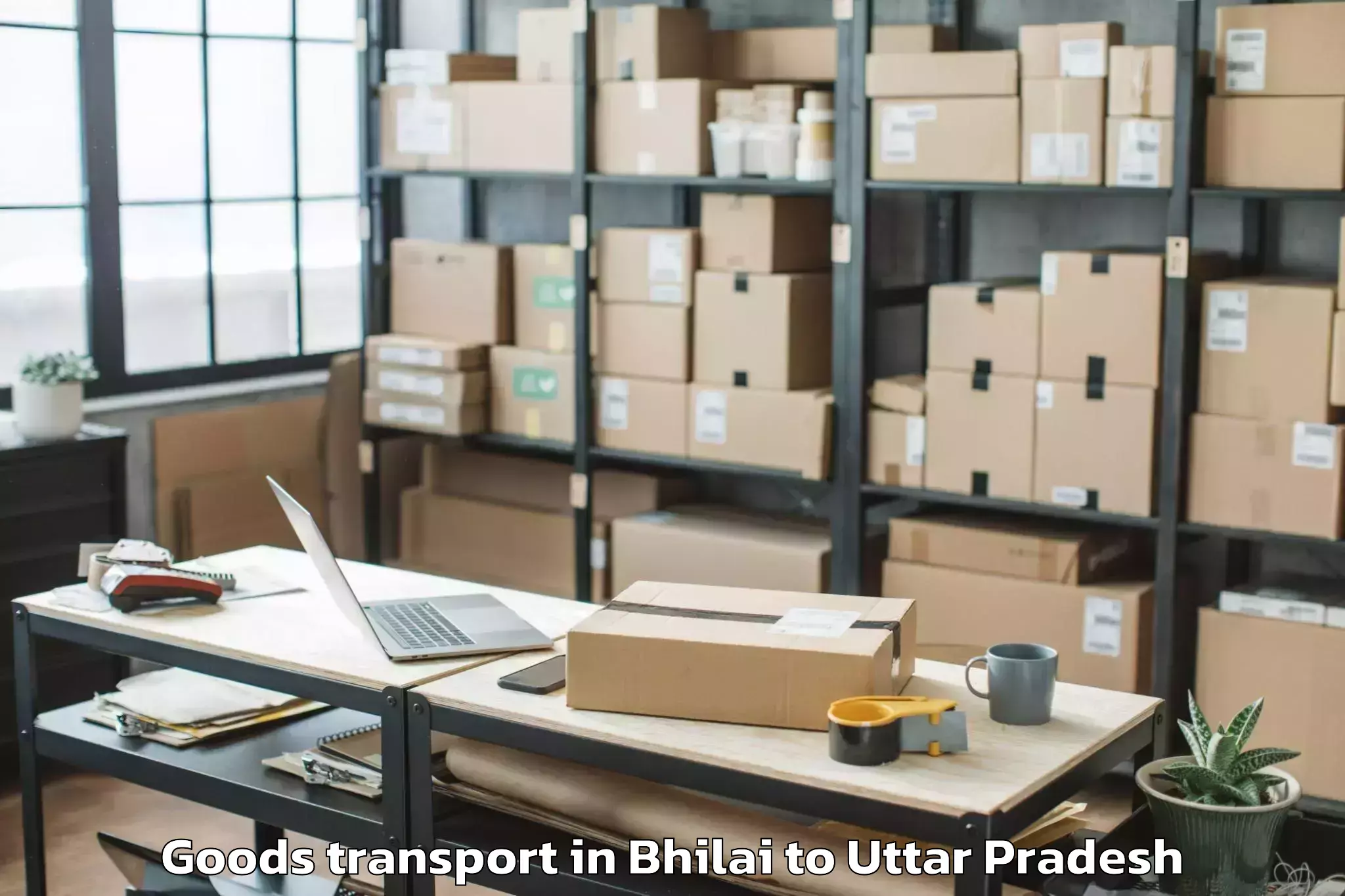 Quality Bhilai to Mangalayatan University Aligar Goods Transport